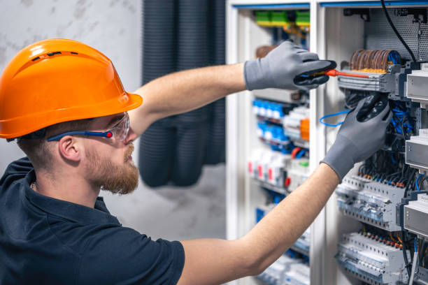 Best Electric Panel Repair  in Mogul, NV
